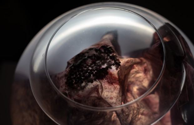 Dokumentacja wystawy doktorskiej Moniki Polak pt. Artifictions