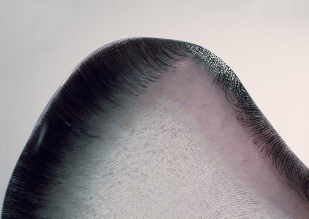 Dagmara Bielecka, Organica Dagmara Bielecka, Organica