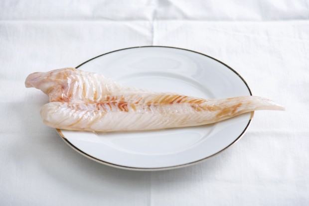 Dagmara Bielecka, Filet Dagmara Bielecka, Filet