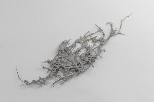 Diaphanous Growth II Diaphanous Growth II