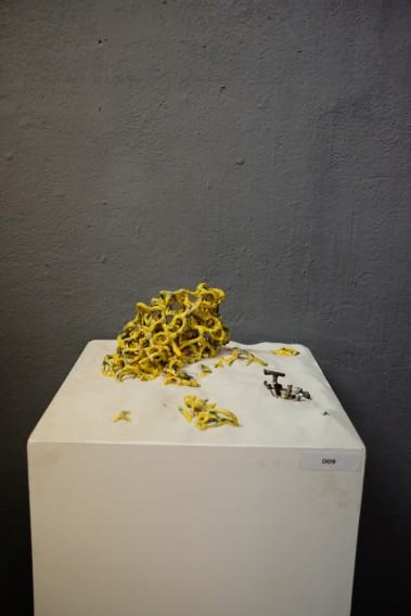 Fotorelacja z wystawy Dno Fotorelacja z wystawy Dno