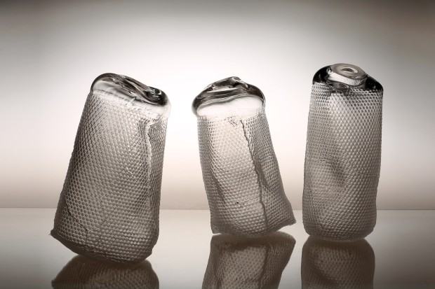 Justyna Żak, Dzika barć Justyna Żak, Dzika barć