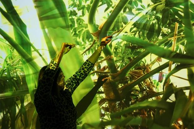 Maria Bitka, Dżungla