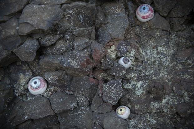 Et ber, zdj. G. Gajos