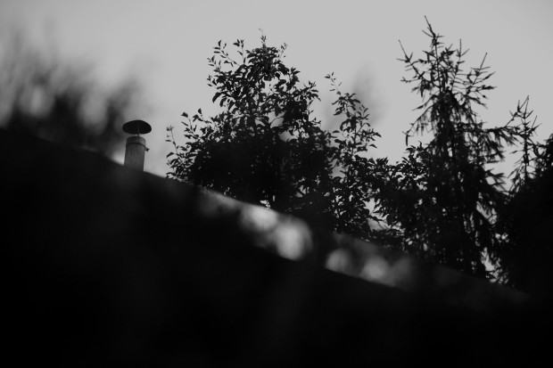 Piotr Komorowski Fotografia nieintencjonalna