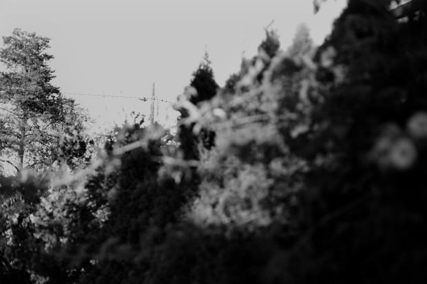 Piotr Komorowski Fotografia nieintencjonalna