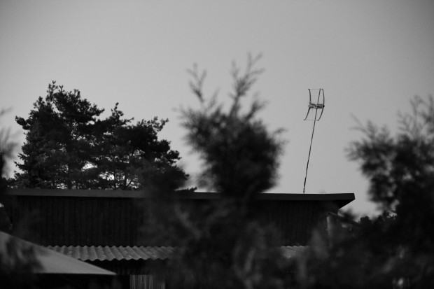 Piotr Komorowski Fotografia nieintencjonalna