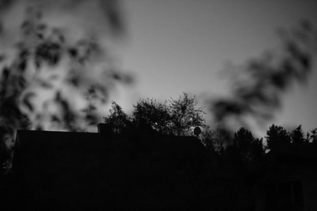 Piotr Komorowski Fotografia nieintencjonalna