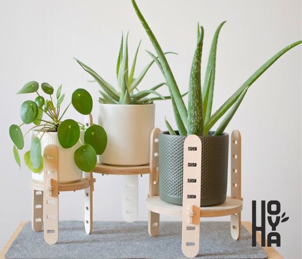 Magdalena Szwajcowska