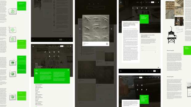 dr hab. Anna Trojanowska