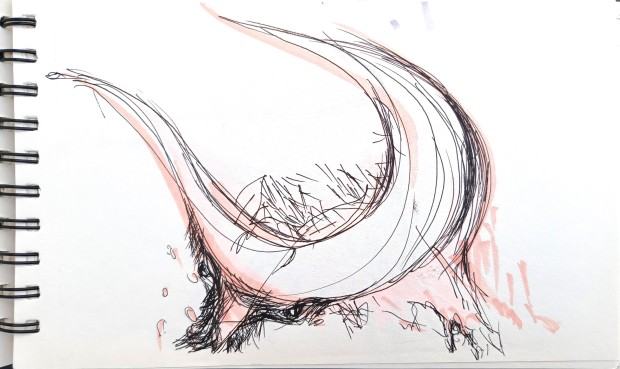 Stanisław Sobota, Animal portret