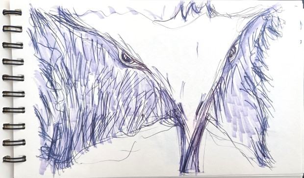 Stanisław Sobota, Animal portret