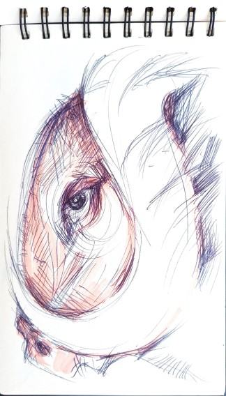 Stanisław Sobota, Animal portret