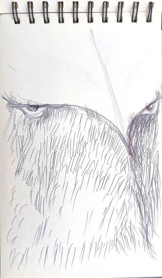 Stanisław Sobota, Animal portret