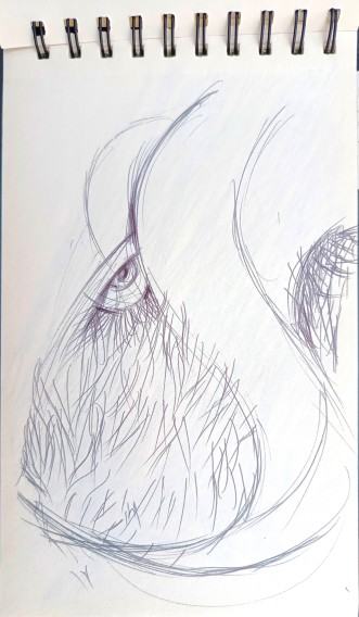 Stanisław Sobota, Animal portret