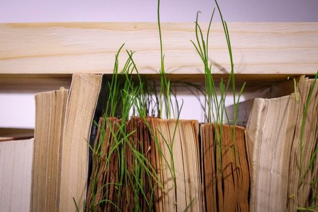 Niepokorna ziemia / Papier lakmusowy.