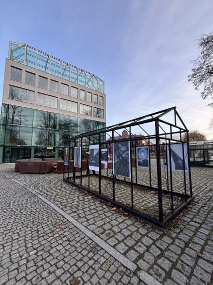 Katarzyna Rutkowska, Malarstwo (Black Frame) Katarzyna Rutkowska, Malarstwo (Black Frame)