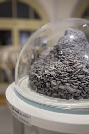 Niepokorna ziemia / Papier lakmusowy.