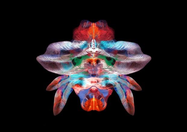 implozja-laura-gizicka.jpg implozja-laura-gizicka