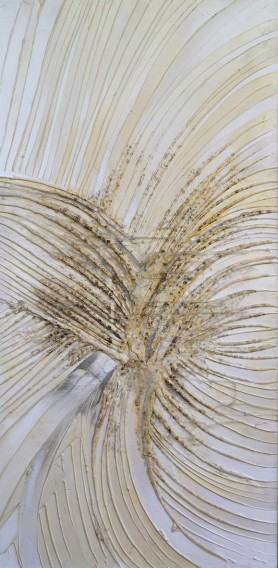 NIe dotykać, Jacek Jarczewski