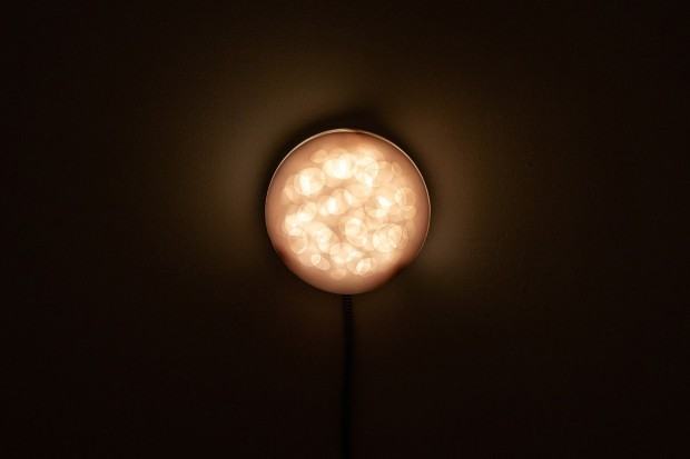 Kalocińska Karolina, Struktury