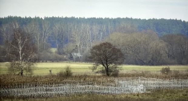 Karolina Freino, Lament, 2023