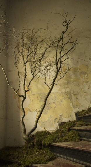 Katarzyna Bogusz, T(räum)en, instalacja site specific, Stara Rzeźnia Poznań, 2015, fot. autorka Katarzyna Bogusz, T(räum)en, instalacja site specific, Stara Rzeźnia Poznań, 2015, fot. autorka