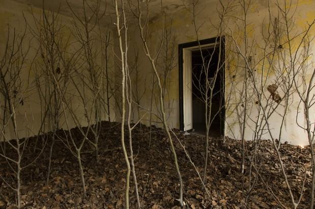 Katarzyna Bogusz, T(räum)en, instalacja site specific, Stara Rzeźnia Poznań, 2015, fot. autorka Katarzyna Bogusz, T(räum)en, instalacja site specific, Stara Rzeźnia Poznań, 2015, fot. autorka