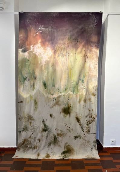 Katarzyna Witek, Przypływ