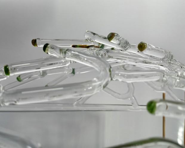 katarzynagemborys-wanilia.jpg katarzynagemborys-wanilia.