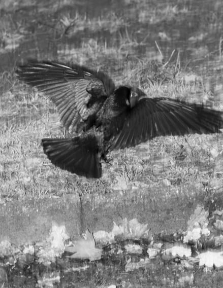 Katerina Kouzmitcheva, From the project Floating Numbness, 2021