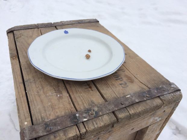 klaudia-wydra-przednowek_.jpg Klaudia Wydra, Przednówek