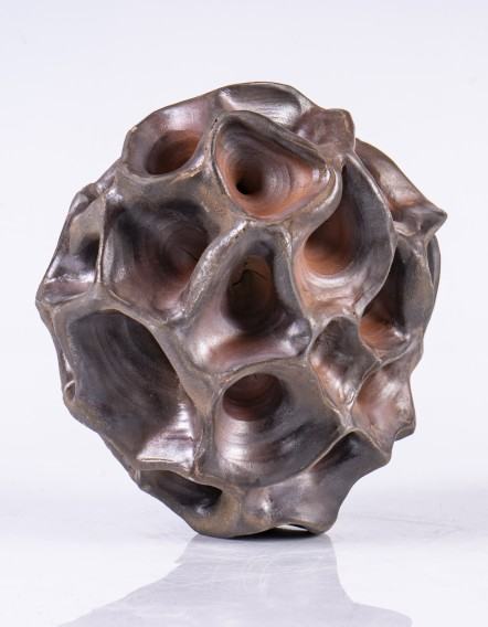 koral1.jpg Jakub Biewald