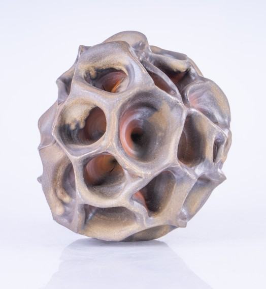 koral2.jpg Jakub Biewald