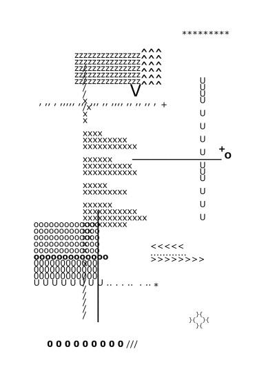 Ida Kwaśnica, Poemat ascii 1