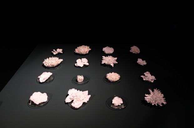 Lena Achtelik Lena Achtelik