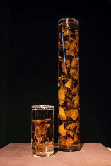 Lena Achtelik Lena Achtelik