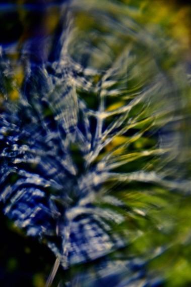 Lila Len, Przenikania, fotografia cyfrowa, 2021