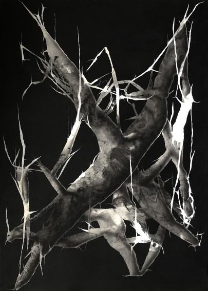 Ł. Huculak, Cordyceps, 2022