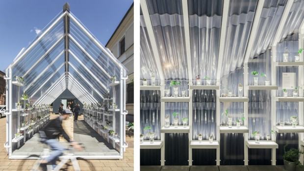 M.Kasprzyca, S.Hanczar, S.Słowik, instalacja Szklarnia, zdj. Marek Swoboda M.Kasprzyca, S.Hanczar, S.Słowik, instalacja Szklarnia, zdj. Marek Swoboda