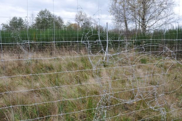 maciej-tabor_2013_na-styku.jpg Maciej Tabor, Na styku, 2013