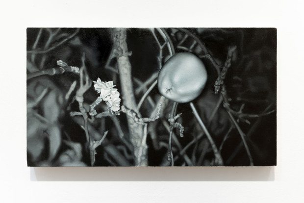 Małgorzata Pawlak, Mutacja 6 Lustro, 2025, 25x45 cm, olej na płótnie