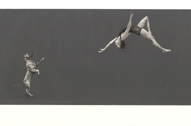 Mariusz Gorzelak Mariusz Gorzelak