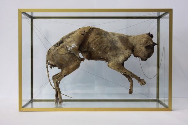 marlena-maczuga-temat-wlasny.jpg Marlena Maczuga, temat własny