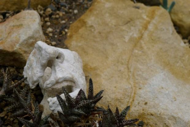 Stadium. Wystawa rzeźby w Ogrodzie Botanicznym, zdj. Zofia Grzybowska