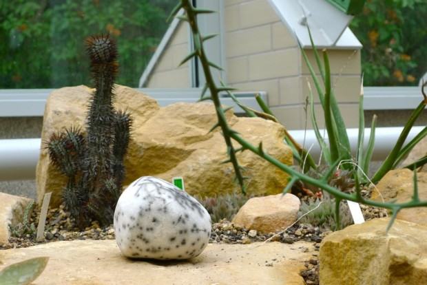 Stadium. Wystawa rzeźby w Ogrodzie Botanicznym, zdj. Zofia Grzybowska
