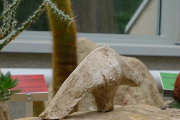 Stadium. Wystawa rzeźby w Ogrodzie Botanicznym, zdj. Zofia Grzybowska