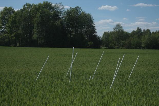 Studium Relacji Przestrzennych, Katedra Mediacji Sztuki Studium Relacji Przestrzennych