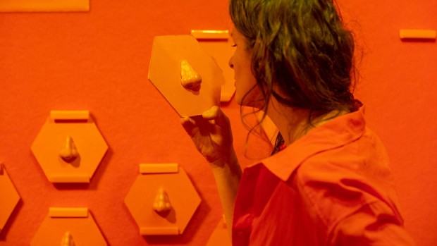 Patrycja Mastej, Magdalena Skowrońska, Ekspozycja na kolor. Pomarańczowy, MWW, zdj. Małgorzata Kujda