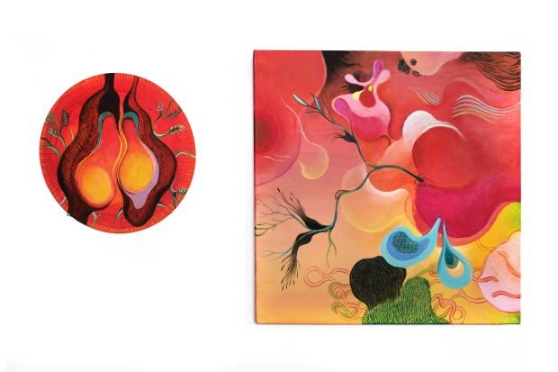 Patrycja Mastej, wystawa Czułe Pnącza, Galaria Entropia, zdj. Wojtek Chrubasik